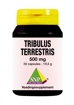 Tribulus terrestris
